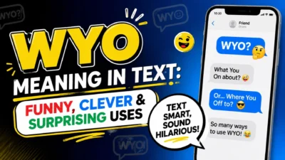 WYO meaning in text with funny and clever uses shown in colorful chat bubbles